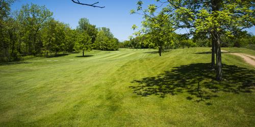 Bella Vista Golf Club 