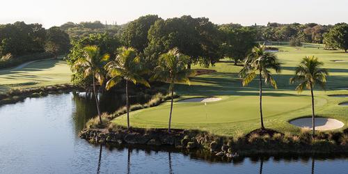 Trump National Doral - Silver Fox